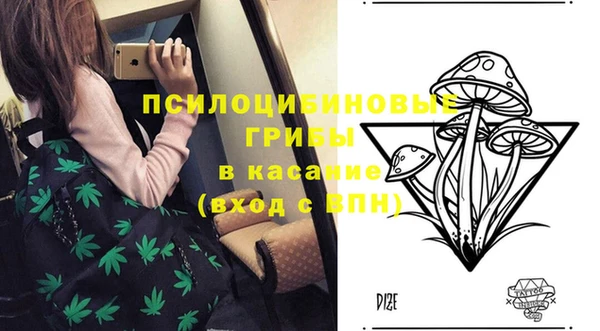 дурь Абаза