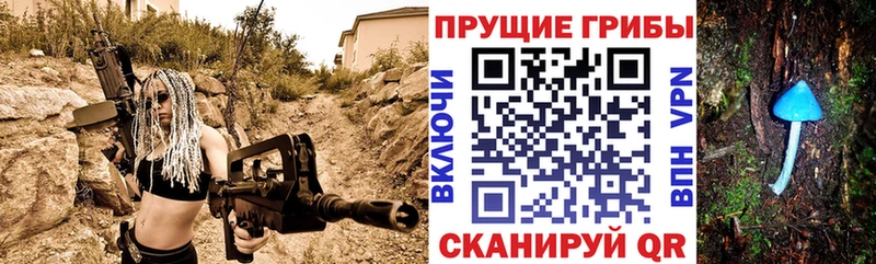 Галлюциногенные грибы Cubensis  Каргополь 